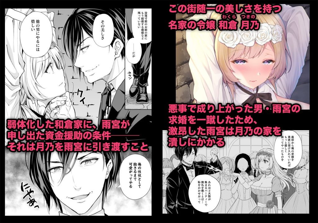 隷嬢の小夜曲 第一楽章のサンプル画像1