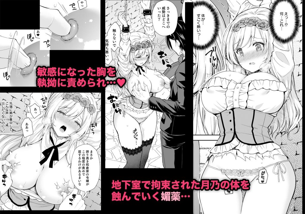 隷嬢の小夜曲 第一楽章のサンプル画像2