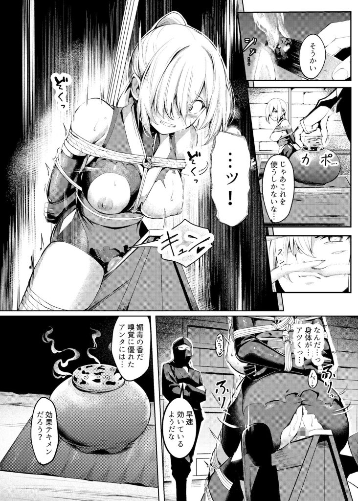 調教淫録〜くノ一棗の受難〜のサンプル画像9